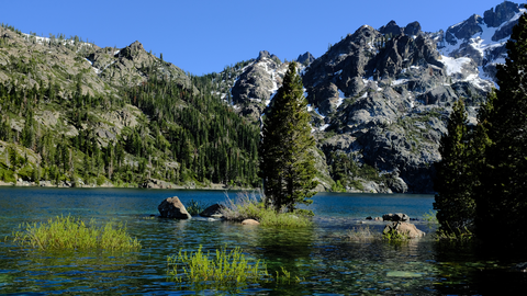 An image depicting the trail Tamarack Connection Trail and its surrounding area.