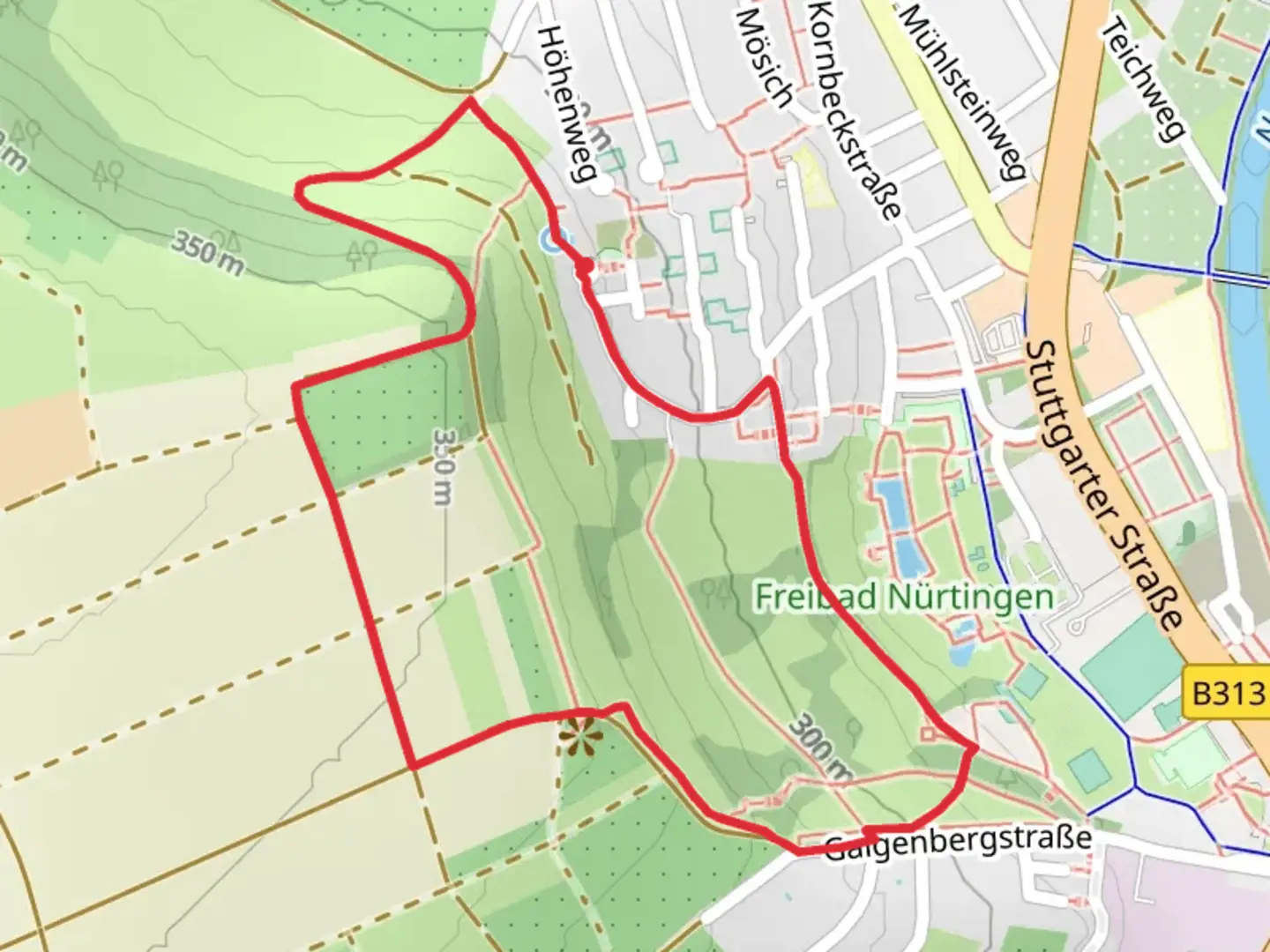 An image depicting the trail Hochgehblickt and Unterensingen Loop and its surrounding area.