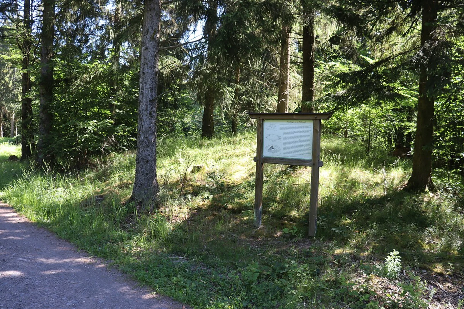 An image depicting the trail Alter Friedhof and Gehegeberg Loop and its surrounding area.