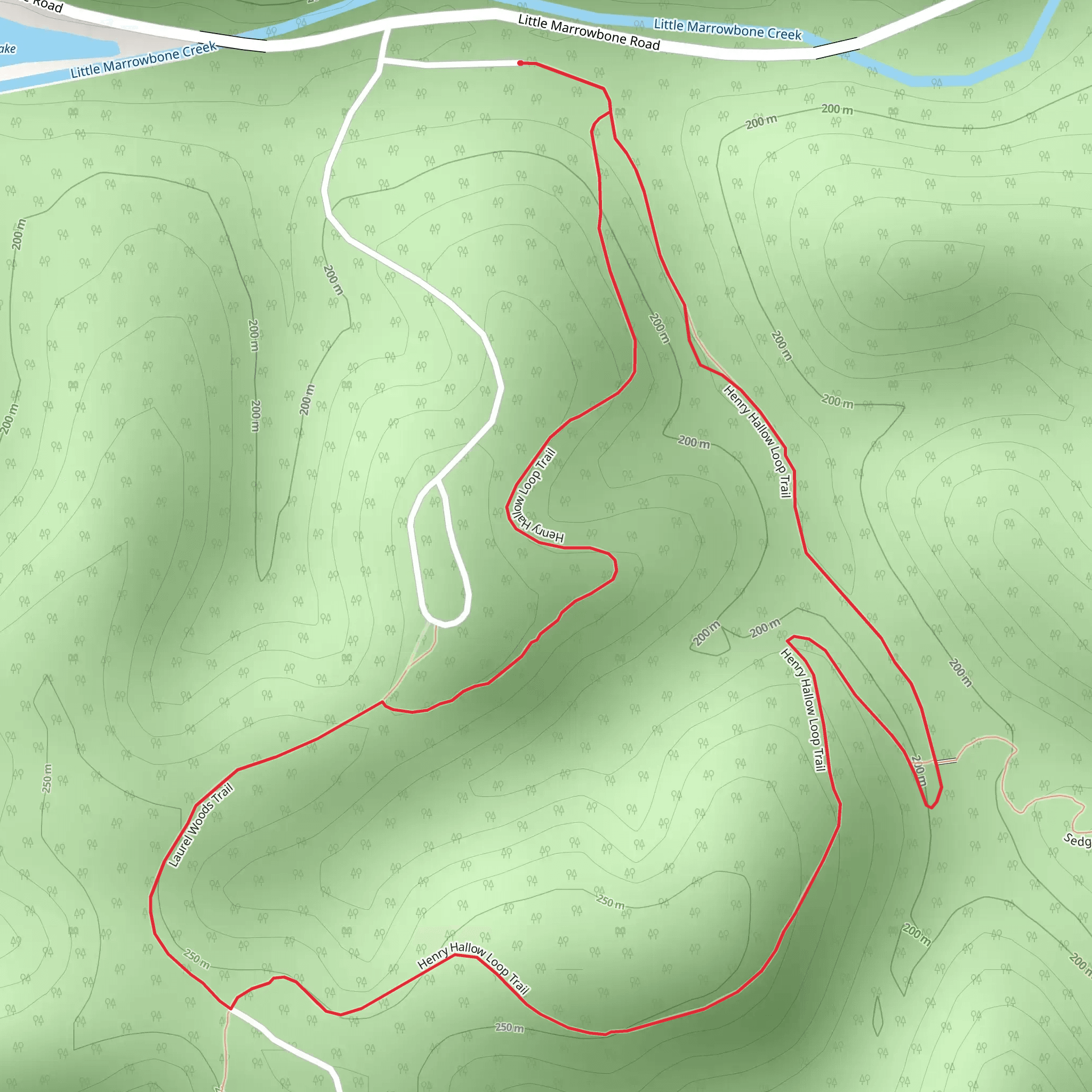 Henry Hollow Loop Trail mobile static map