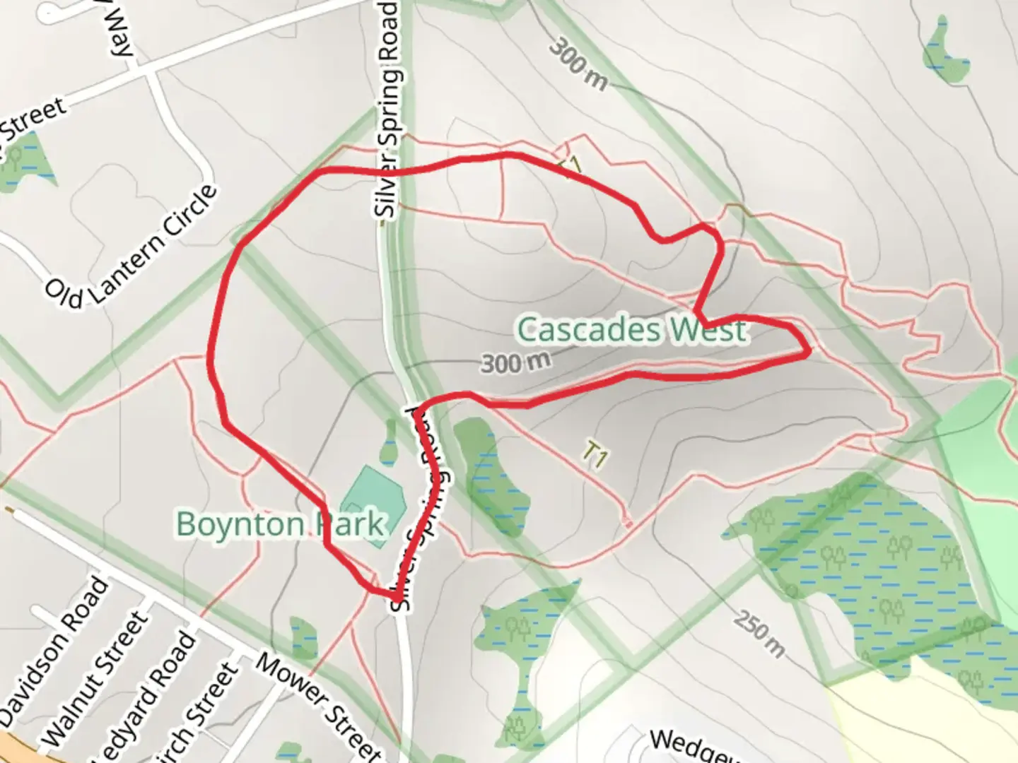 An image depicting the trail Silver Spring - Meadow Ridge Loop Trail and its surrounding area.