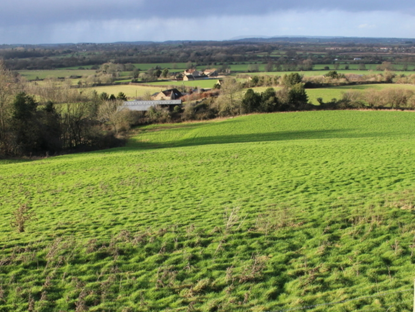 An image depicting the trail Ilminster Loop and its surrounding area.