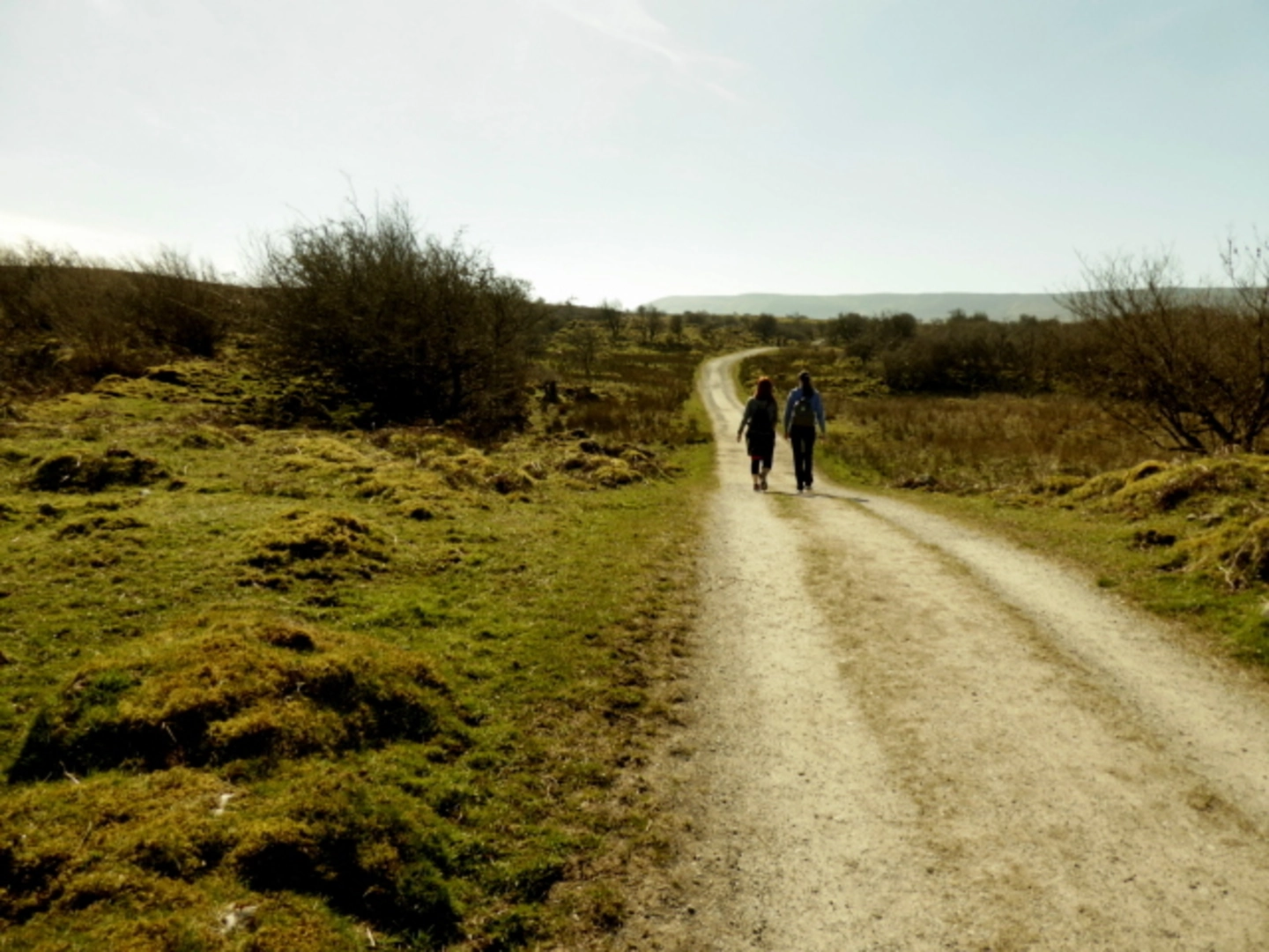 An image depicting the trail Gortmaconnell and Owenbrean - Farmhouse Walk and its surrounding area.