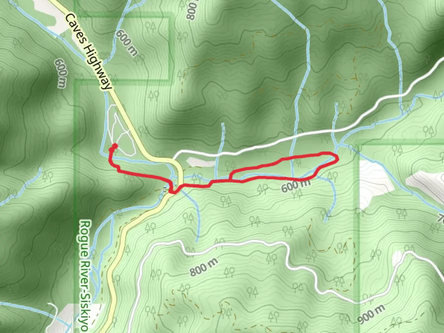 An image depicting the trail Grayback Interpretive Loop Trail and its surrounding area.