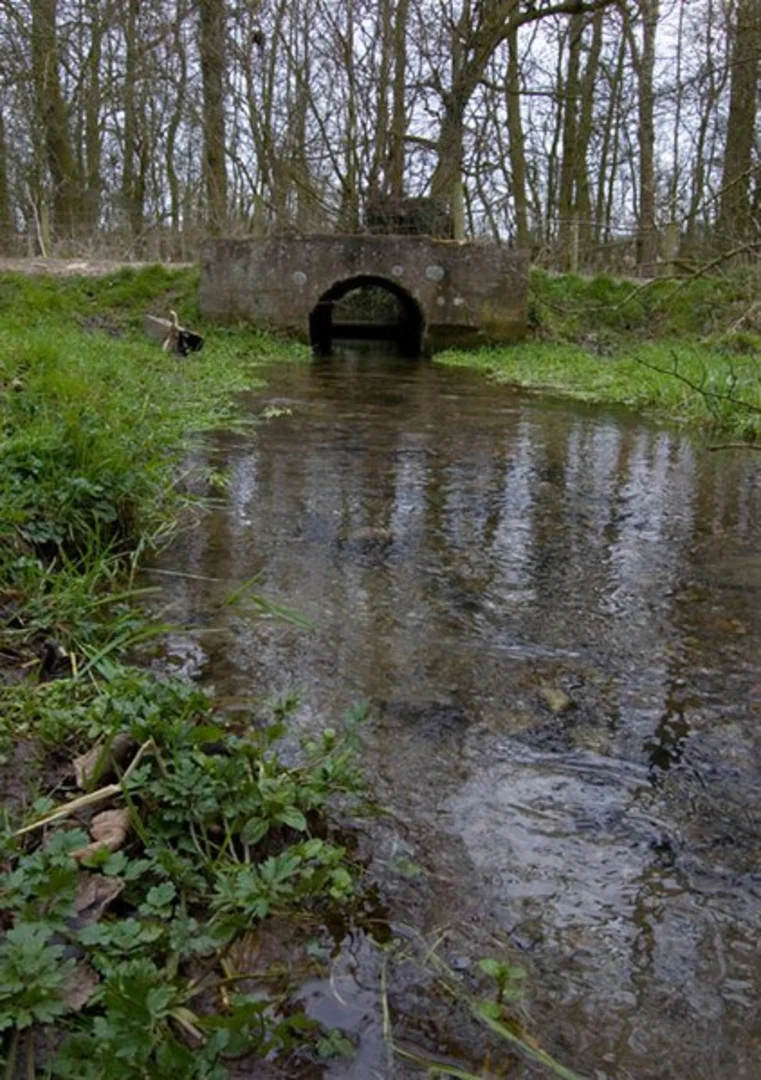 An image depicting the trail Market Weighton to Mellington Walk and its surrounding area.