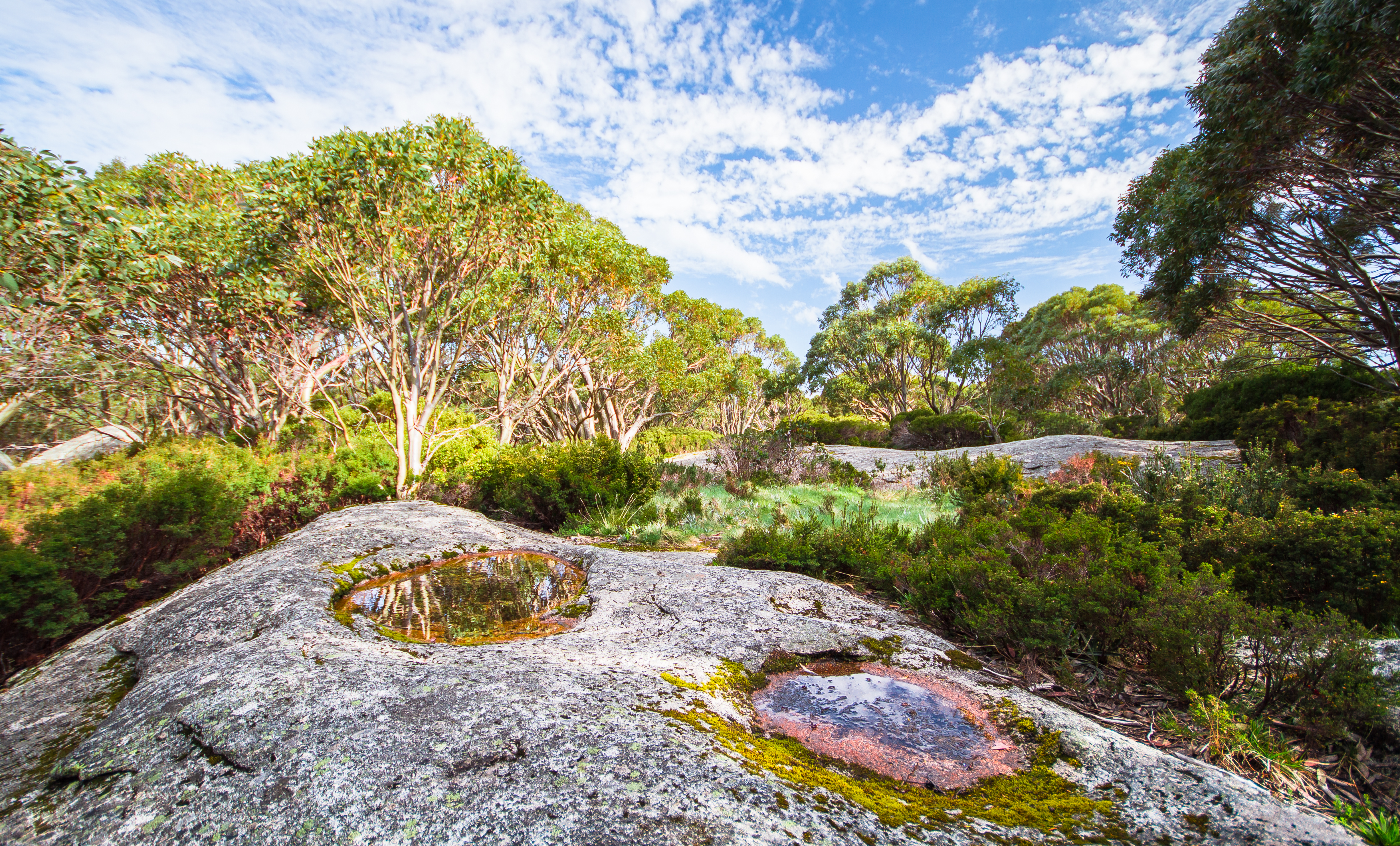 An image depicting the trail Baw Baw National Park and its surrounding area.