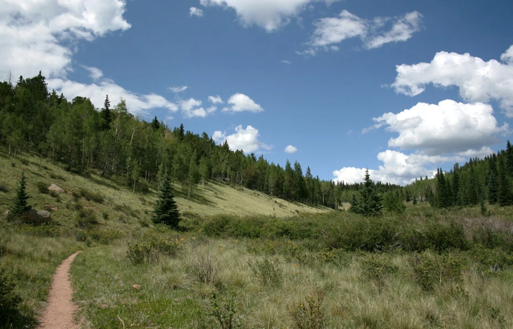 An image depicting the trail Horsethief Falls Trail and its surrounding area.