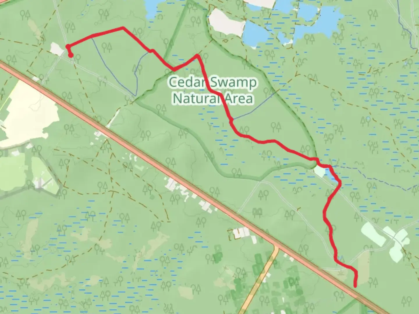 An image depicting the trail Cranberry Red and Batona Trail and its surrounding area.