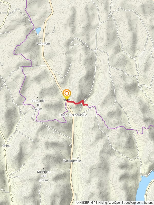 Delaware State Forest via Finger Lakes Trail