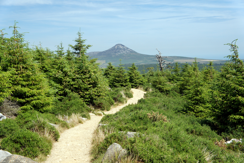 Sugar Loaf Way