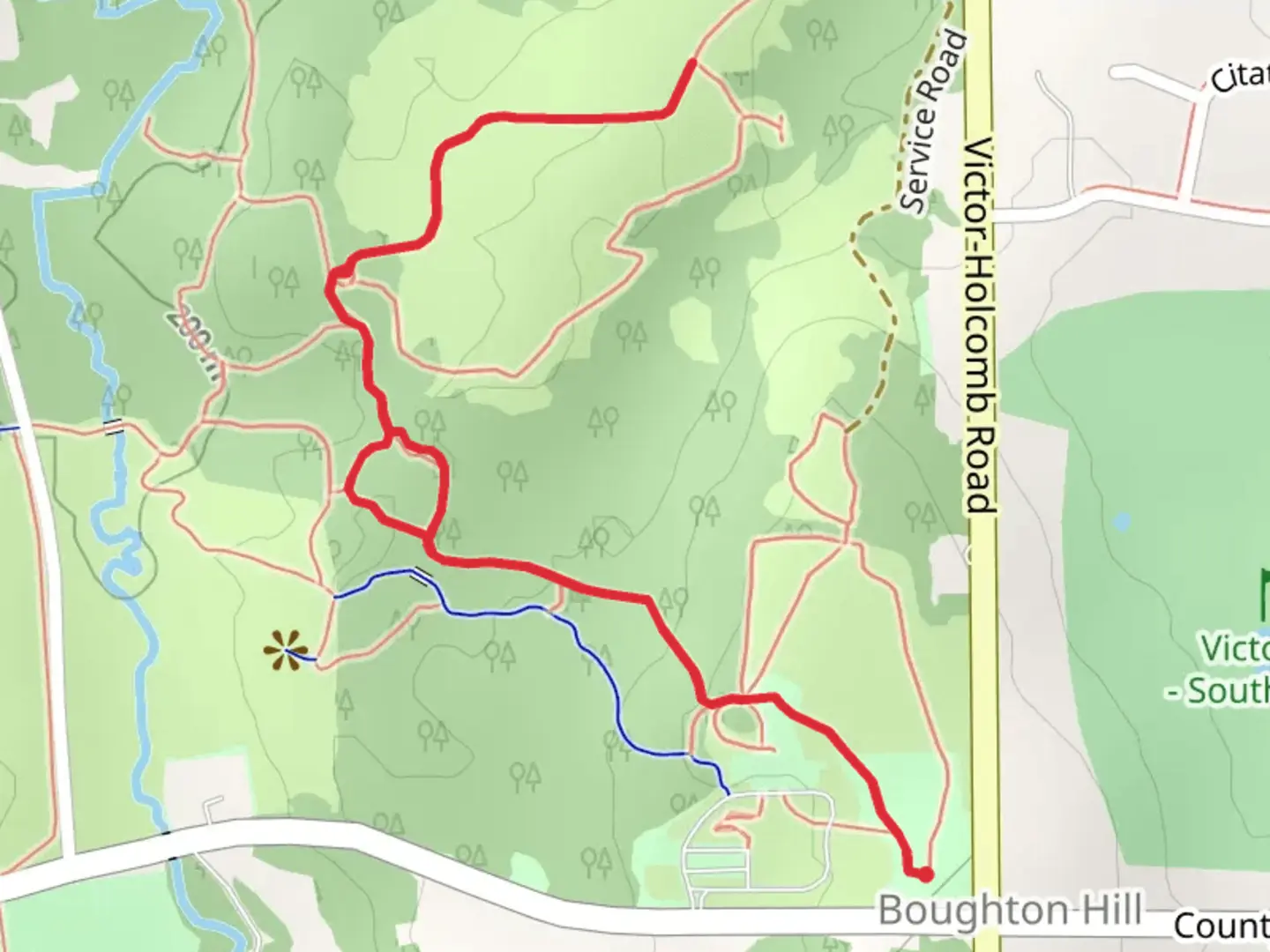 An image depicting the trail Sweetgrass Fork Trail and its surrounding area.