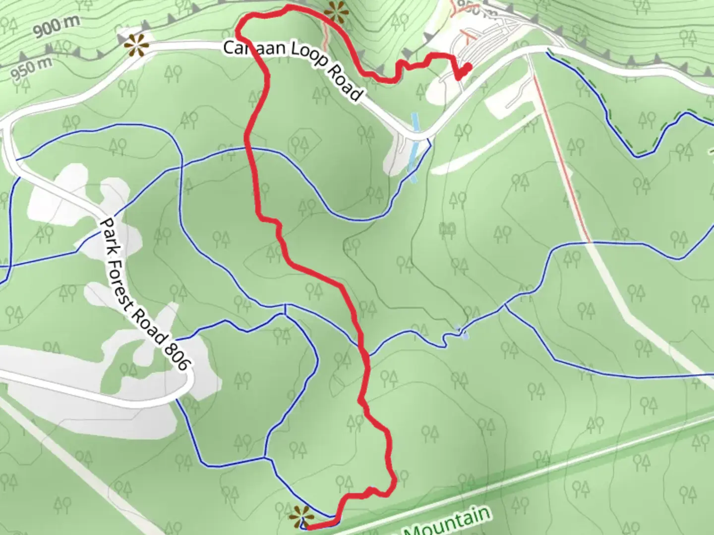 An image depicting the trail Elakala Trail and Balanced Rock Trai and its surrounding area.
