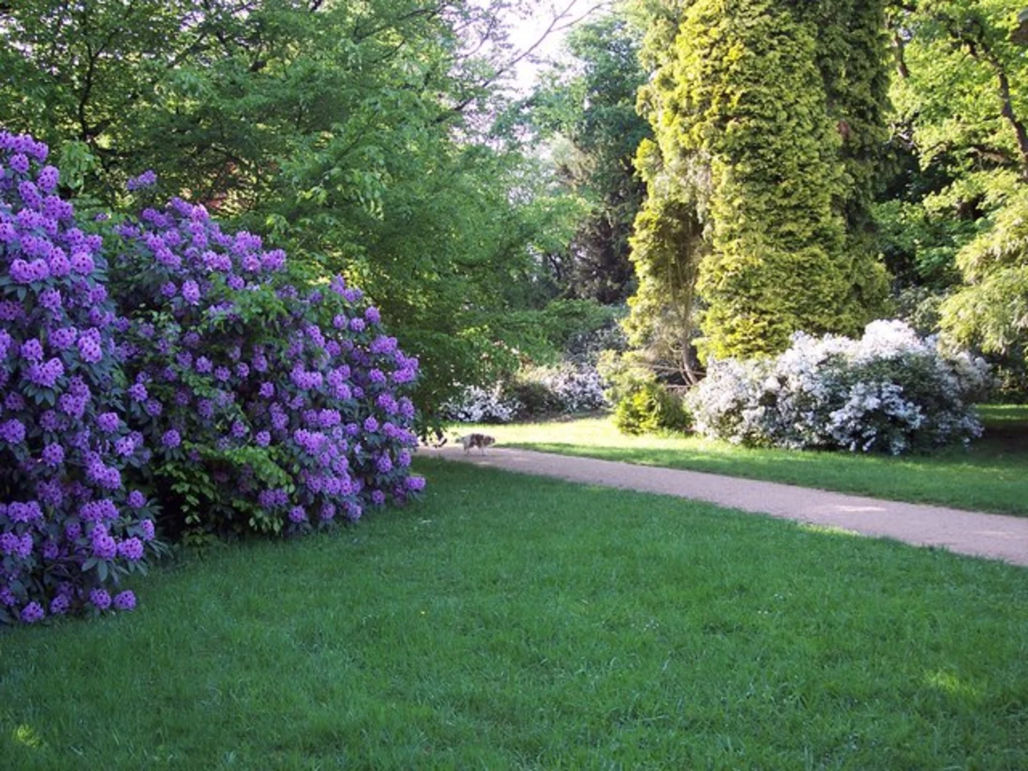 An image depicting the trail Heaven's Gate Loop and its surrounding area.