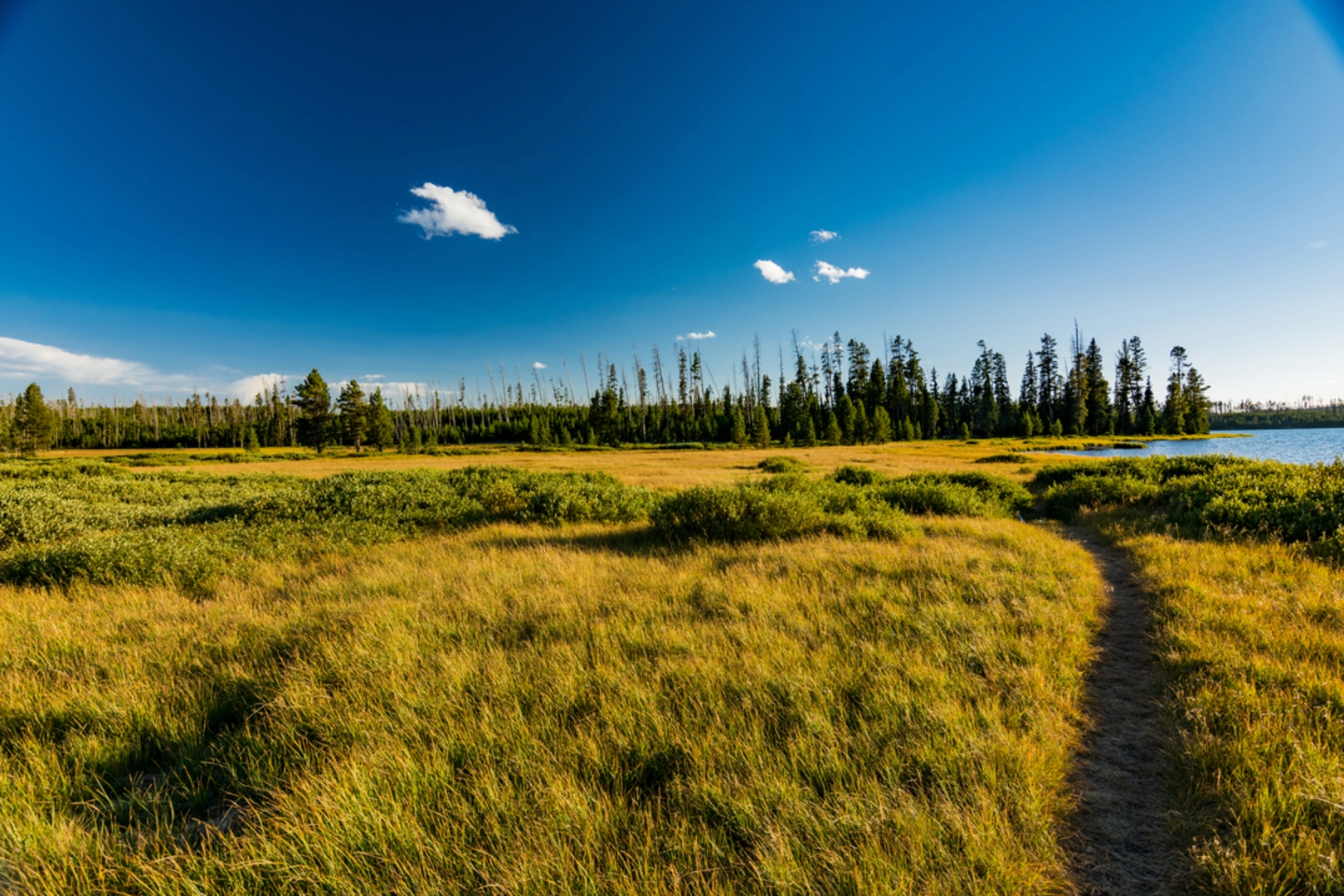 An image depicting the trail Grebe Lake Trail and its surrounding area.