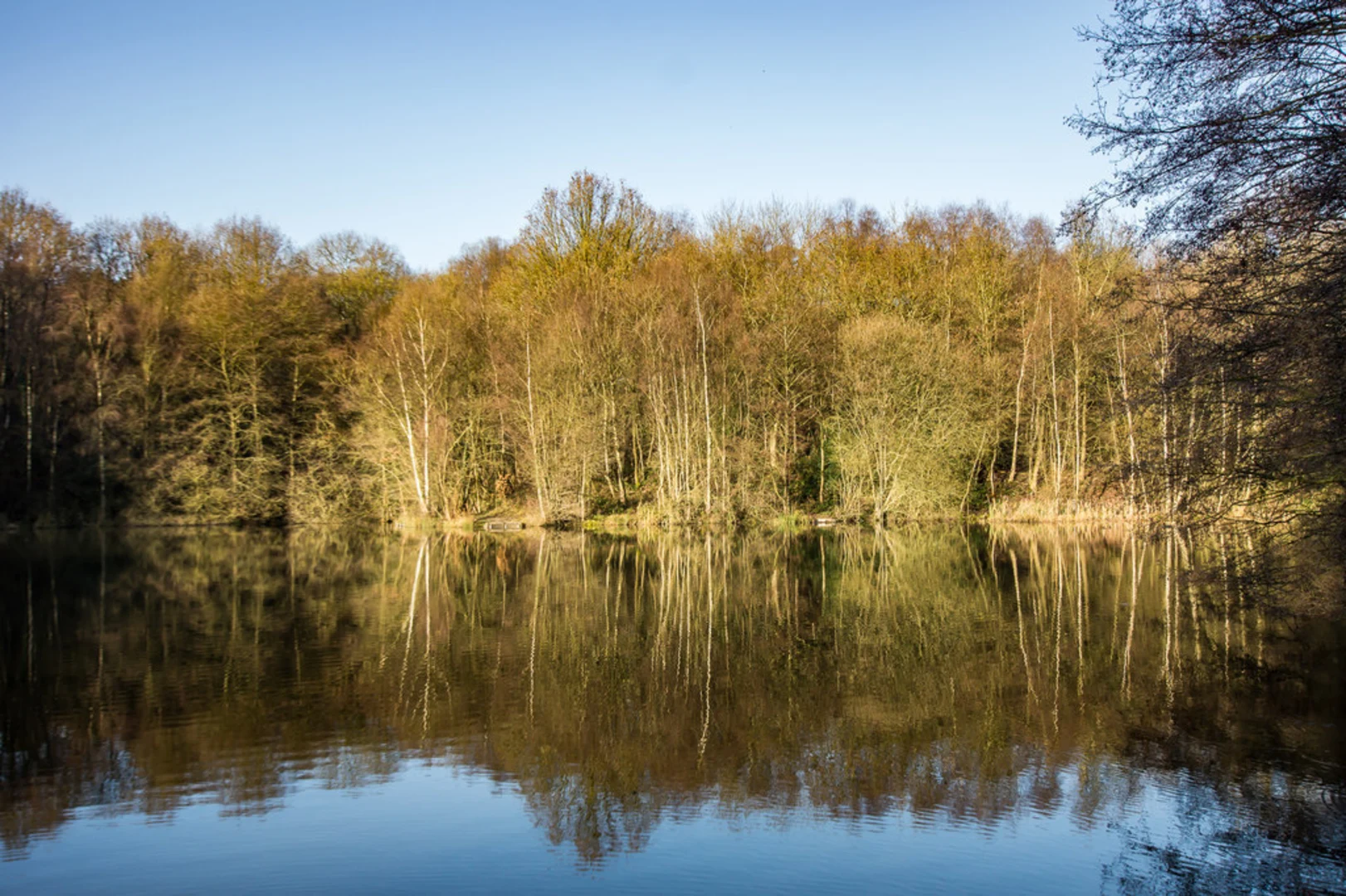 An image depicting the trail Consall Nature Park and its surrounding area.