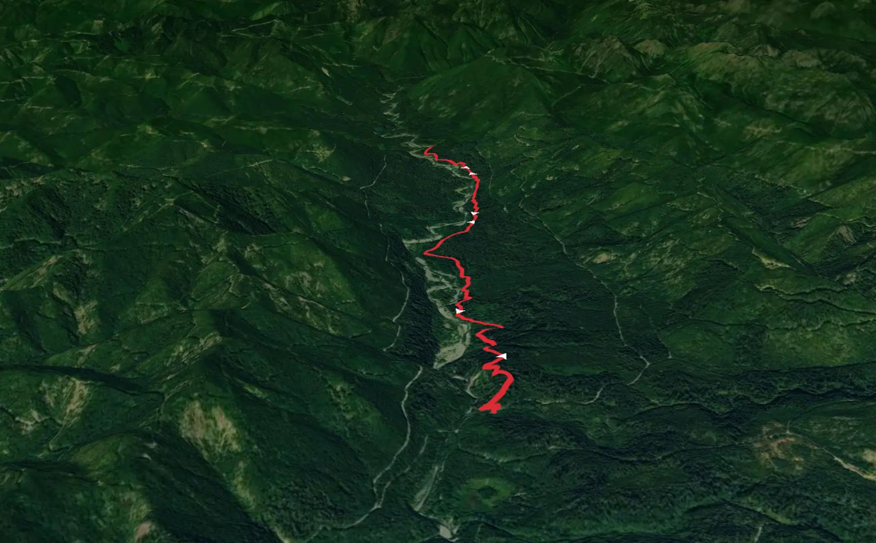 An image depicting the trail Lower South Fork Skokomish River Trail and its surrounding area.