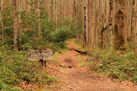 An image depicting the trail Cucumber Gap and Little River Loop Trail and its surrounding area.