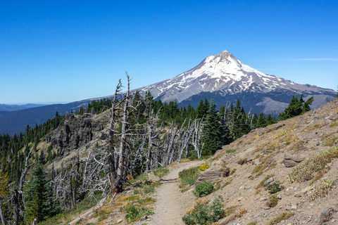 An image depicting the trail Fret Creek Trail and its surrounding area.