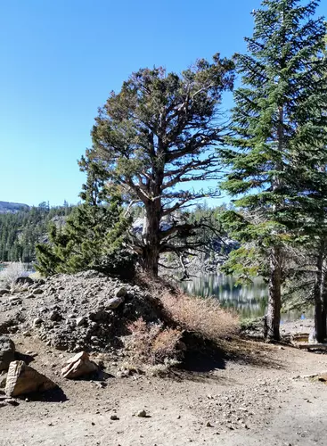 Dardanelles Lake via Tahoe Rim Trail