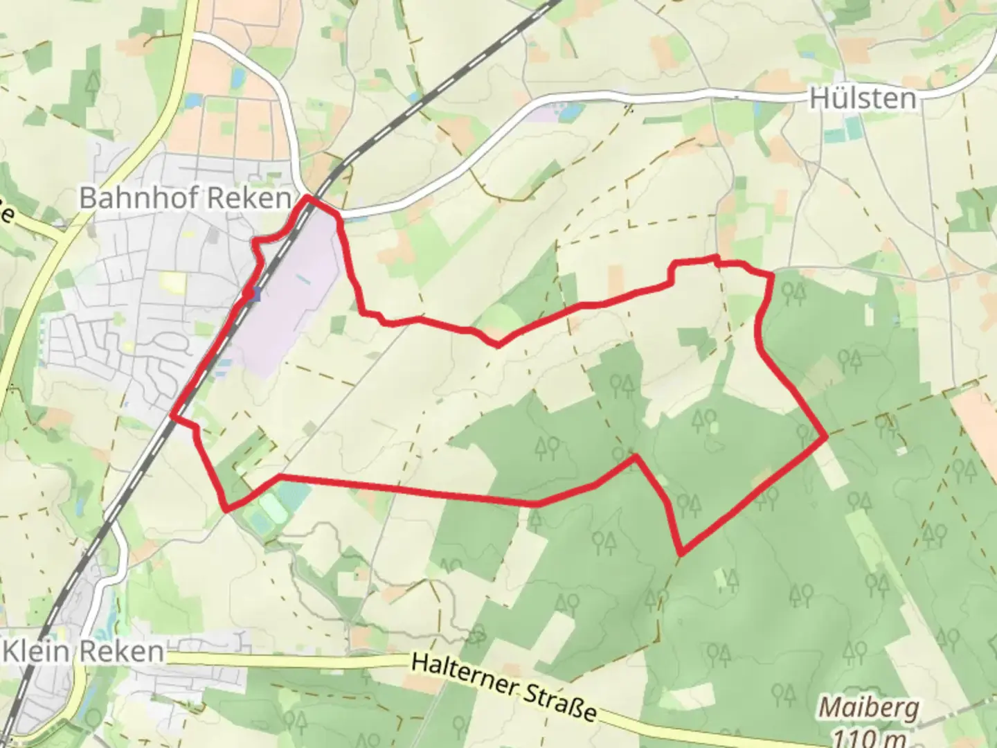 An image depicting the trail Klein Rekener Loop via Reken and its surrounding area.