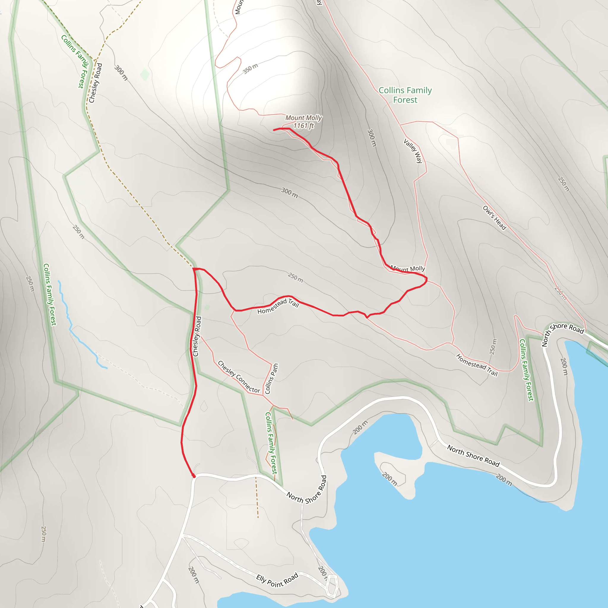 Mount Molly Trail mobile static map