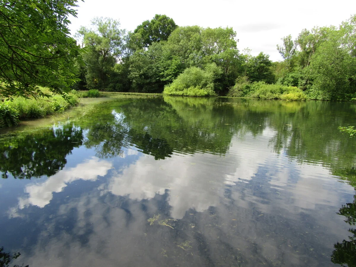 Clandon Park and Clandon Wood Natural Burial Ground