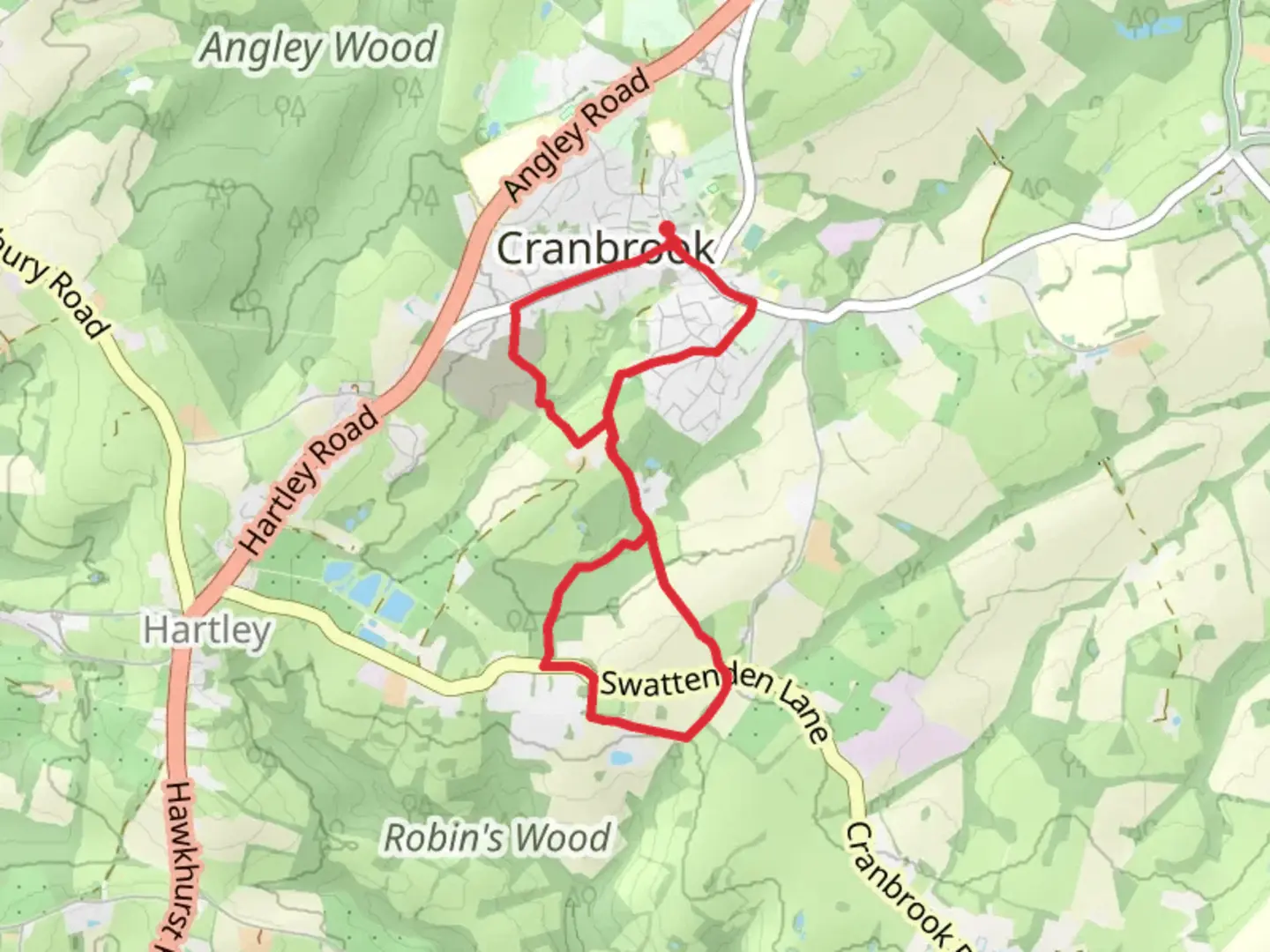 An image depicting the trail Comfort's Wood Loop and its surrounding area.