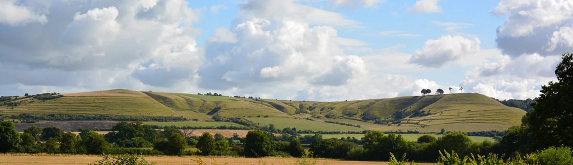 An image depicting the trail Roundway Hill Covert and Oliver's Castle Loop and its surrounding area.