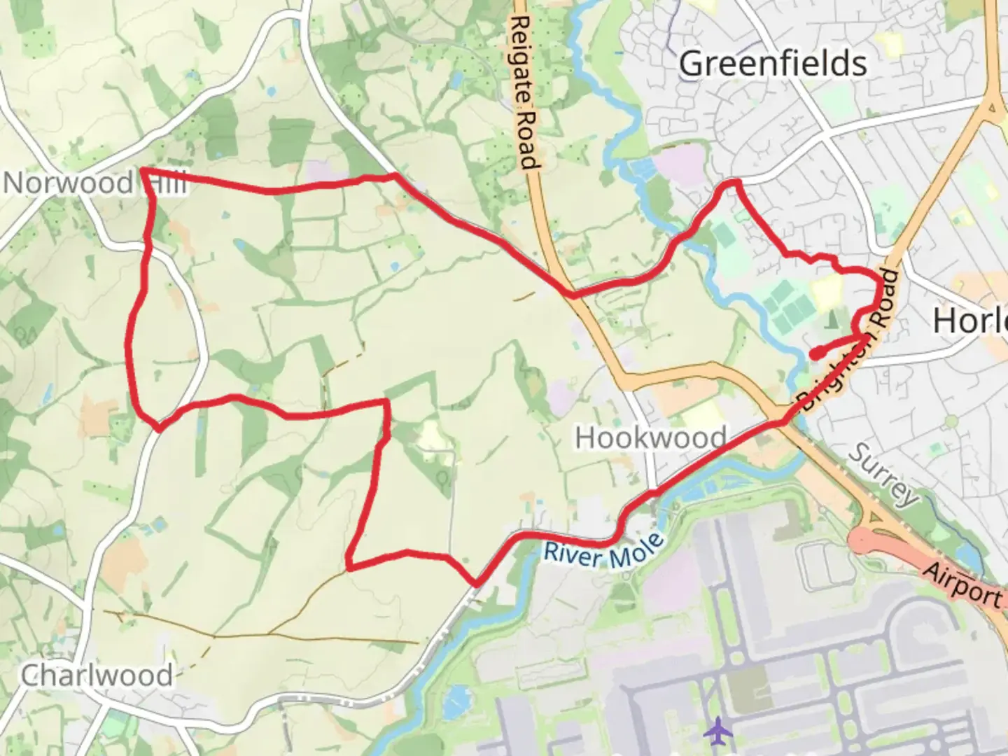 An image depicting the trail Hookwood and Norwood Hill Loop and its surrounding area.