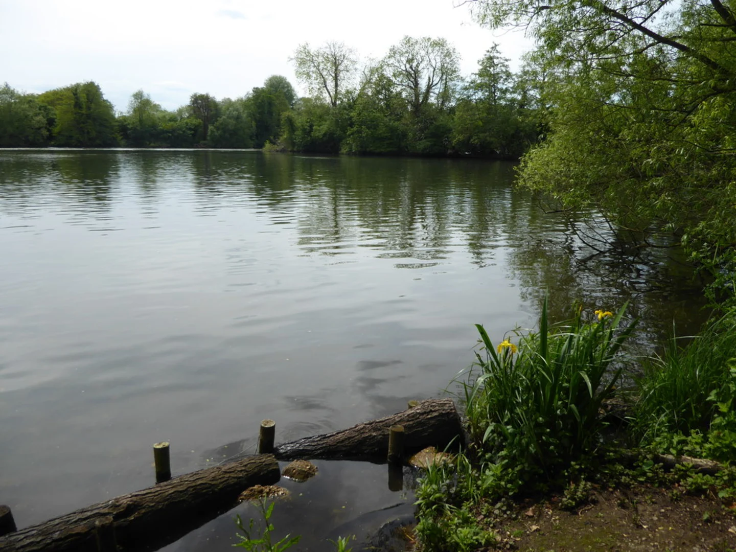 An image depicting the trail Rickmansworth Aquadrome Loop and its surrounding area.