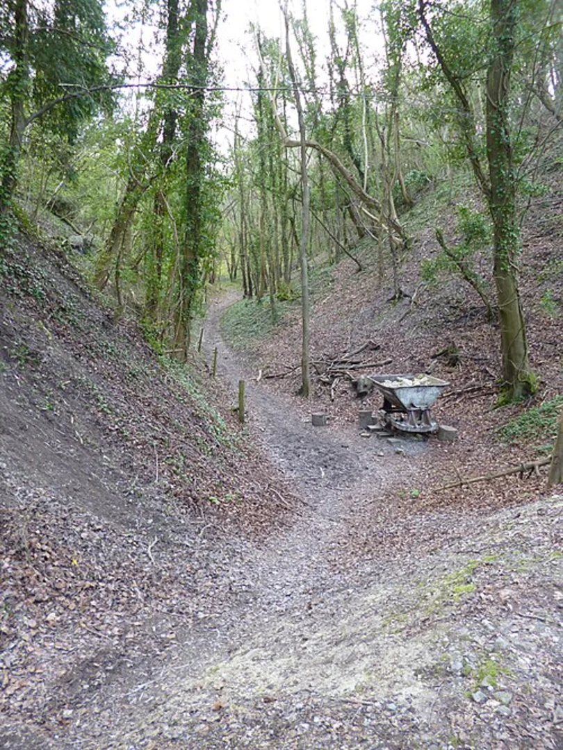 An image depicting the trail Buriton Chalk Pits and Buriton via Milky Way and its surrounding area.