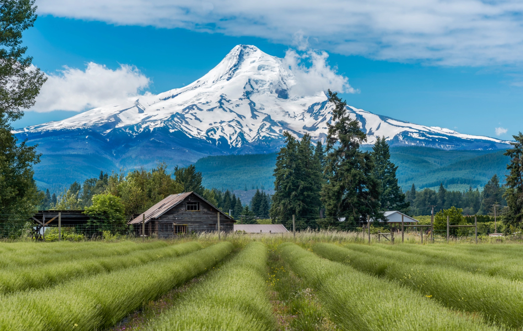 An image depicting the trail Mazama Trail and its surrounding area.