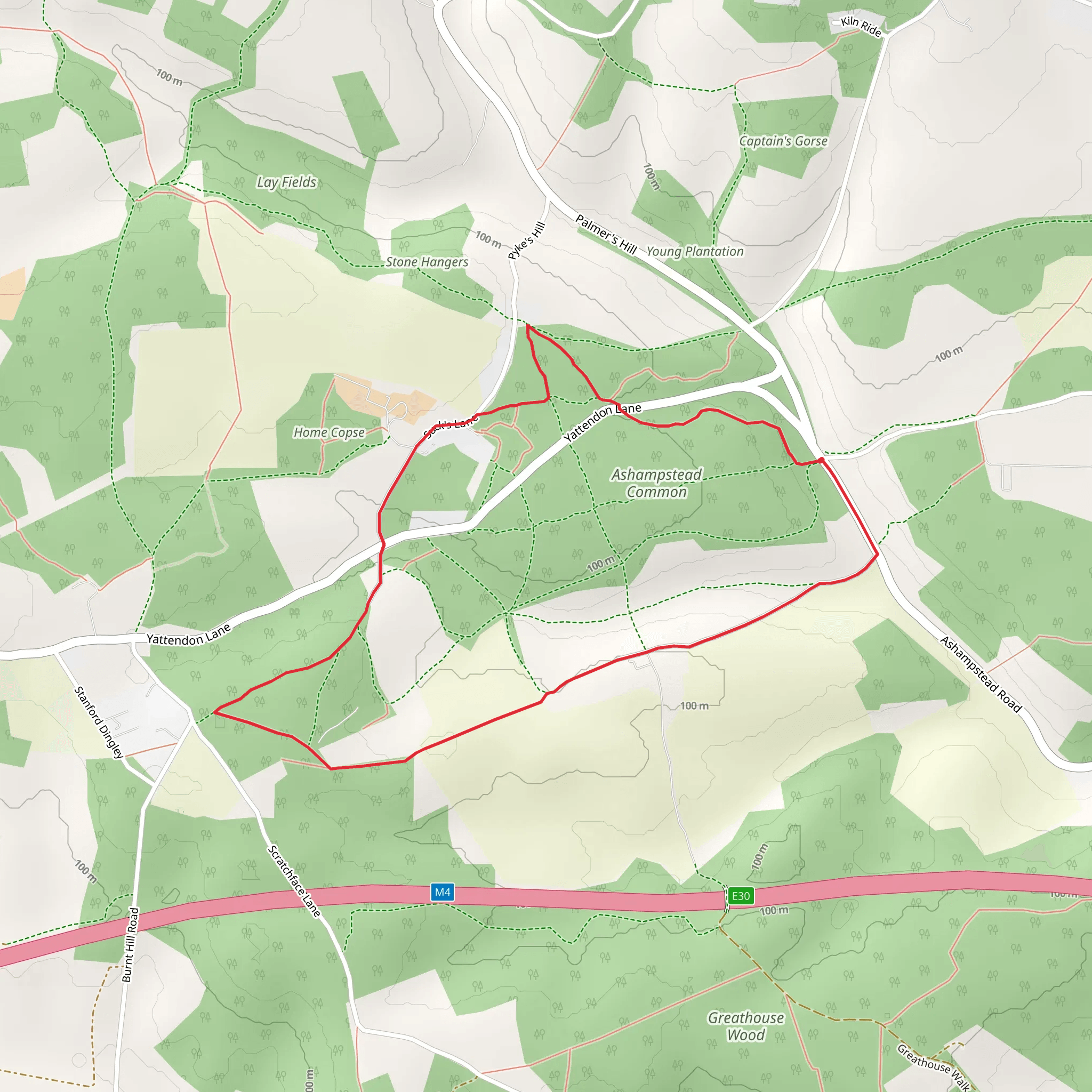 Ashampstead Common and Burnthill Common via Pillow Path mobile static map