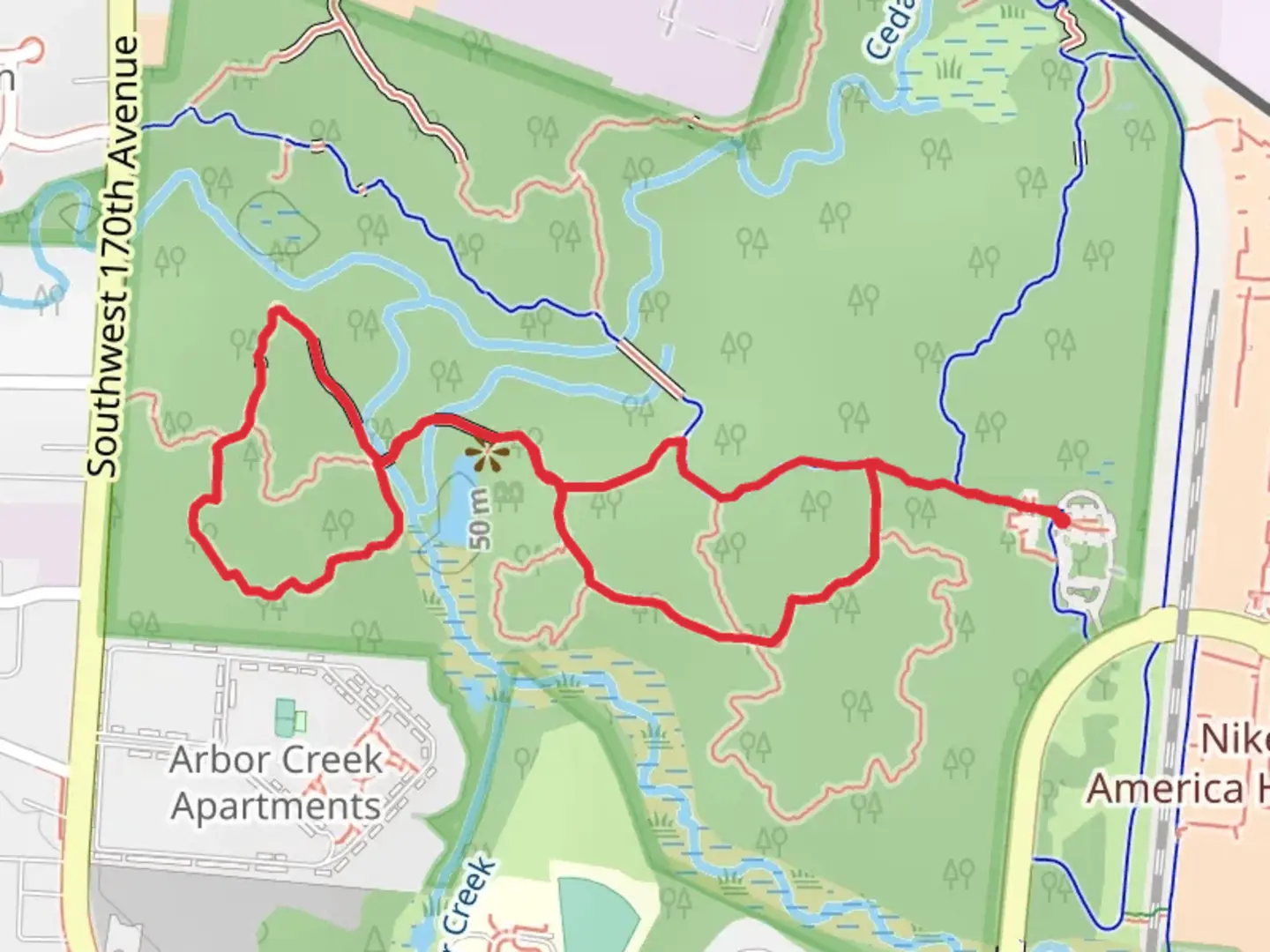 An image depicting the trail Big Pond - Ash Loop - Big Fir Trail and its surrounding area.