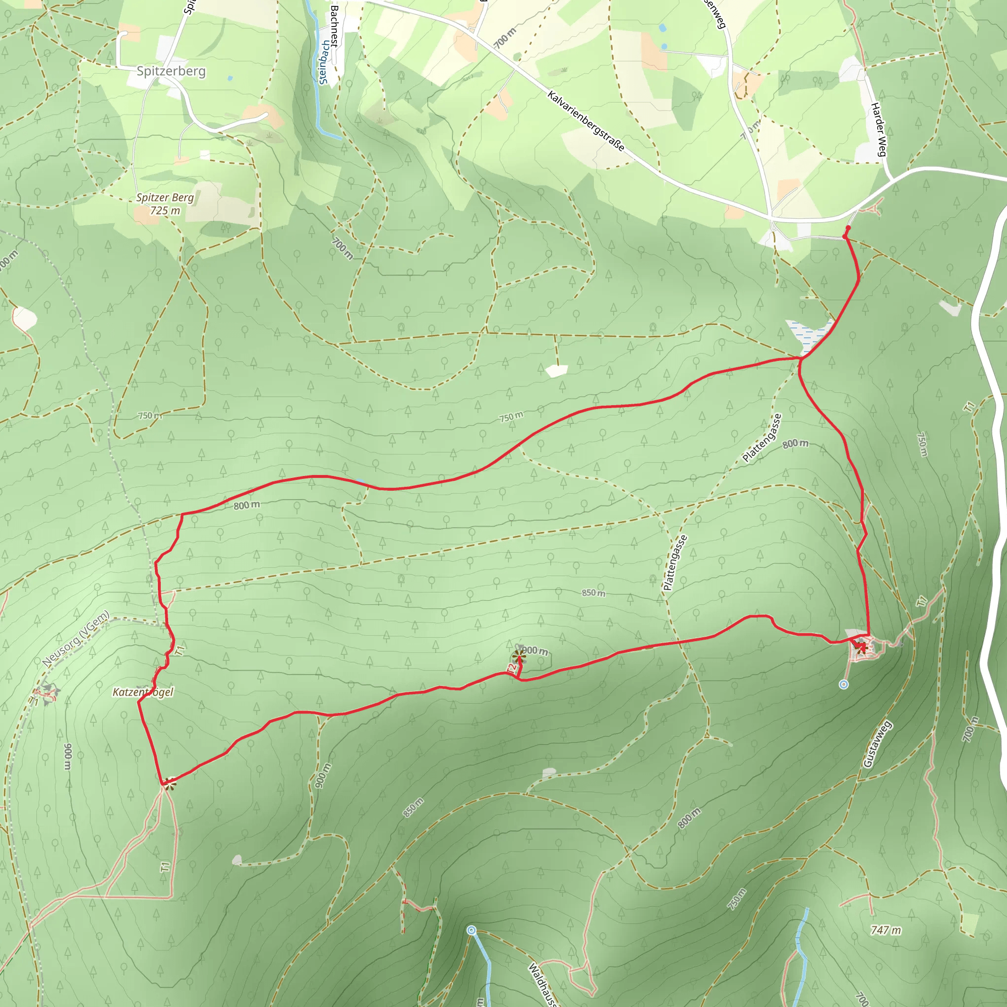 Platte, Schlossfelsen and Ruine Weißenstein Loop via Burgenweg mobile static map