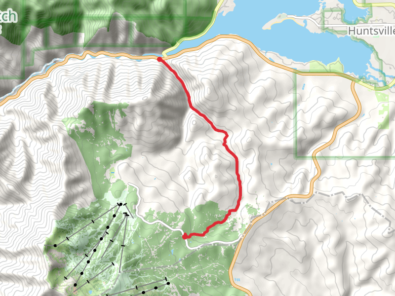 Wheeler Creek East Fork Trail