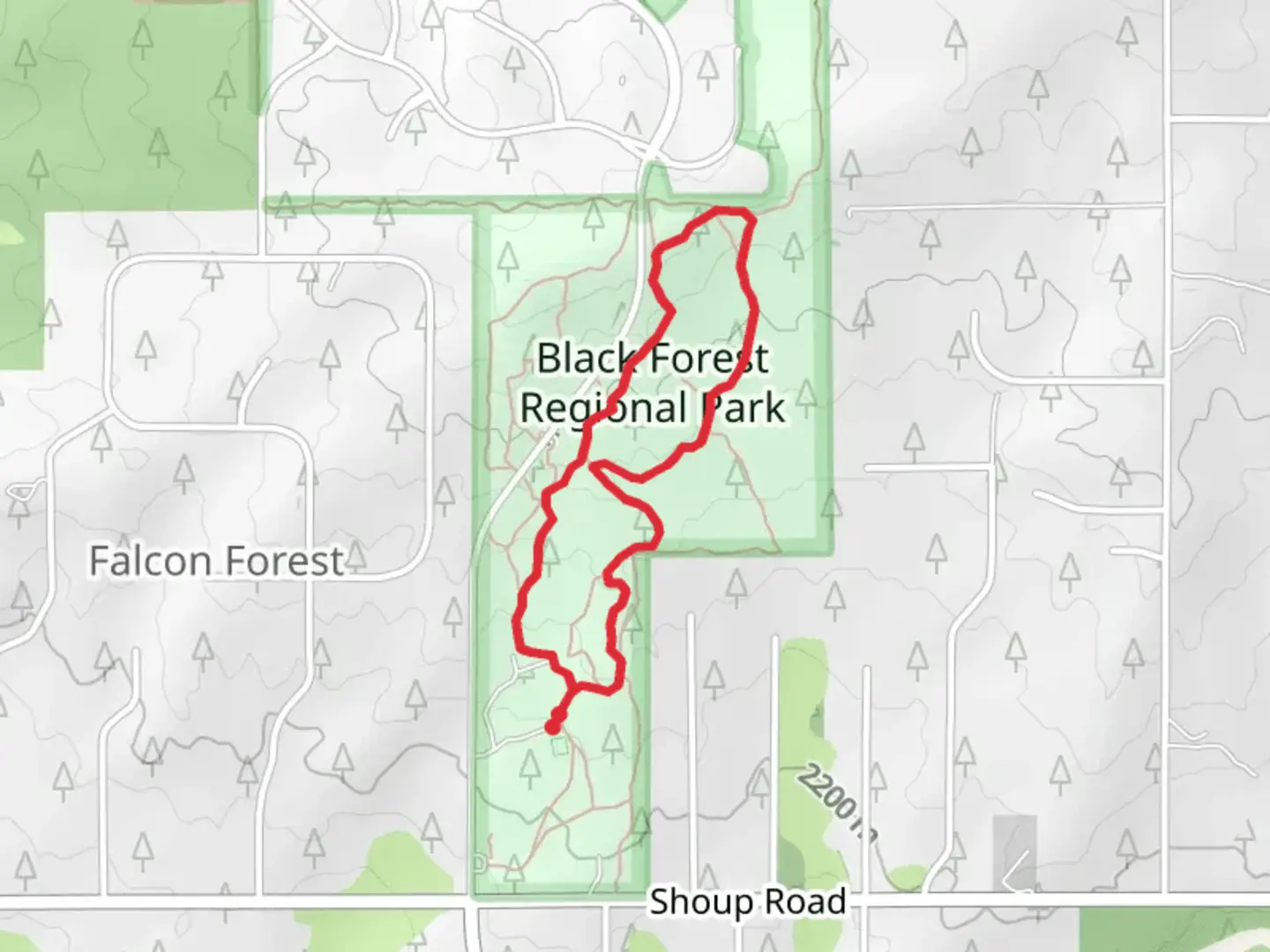 An image depicting the trail Pikes Peak Trail Loop and its surrounding area.
