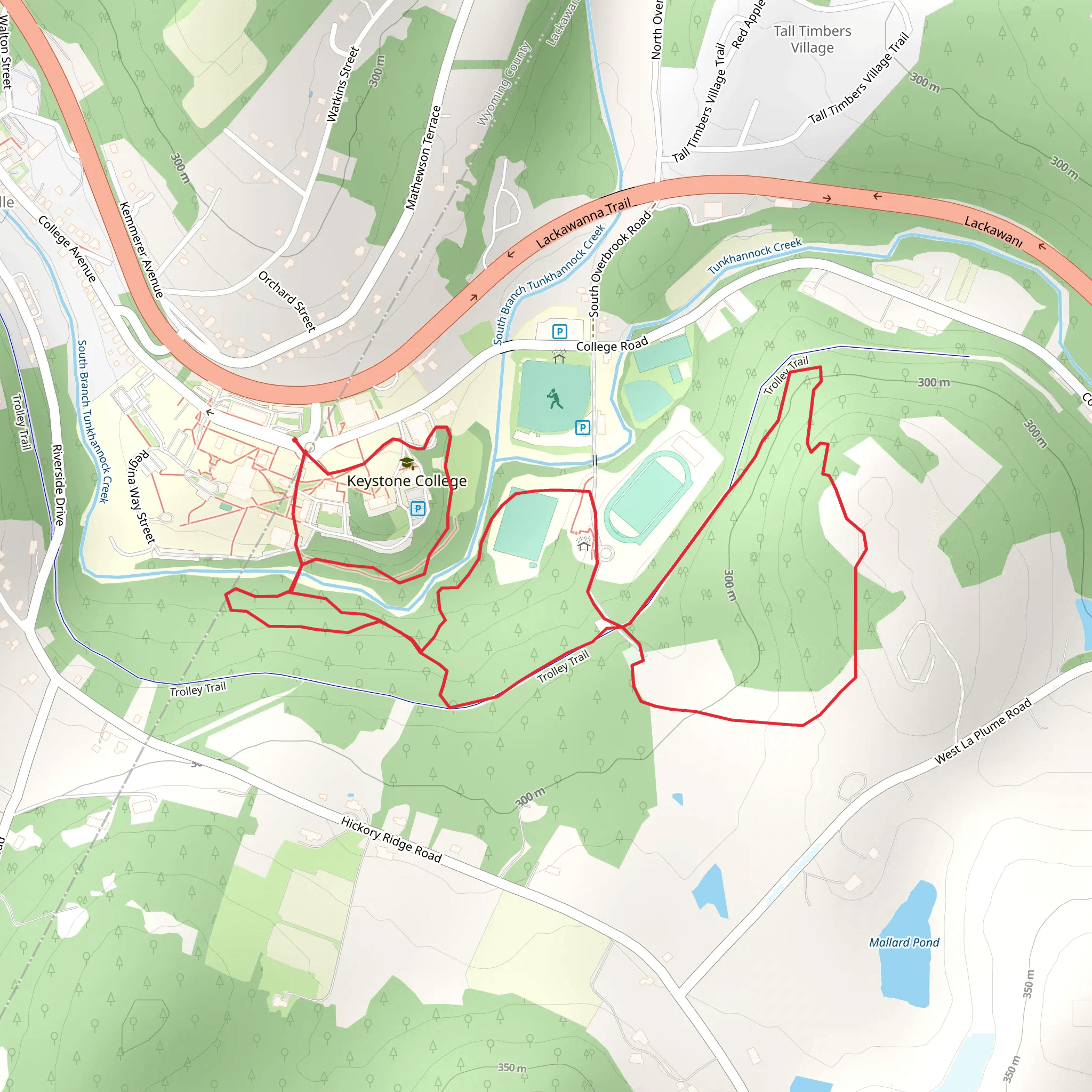 South Branch Tunkhannock Creek via Trolley Trail mobile static map