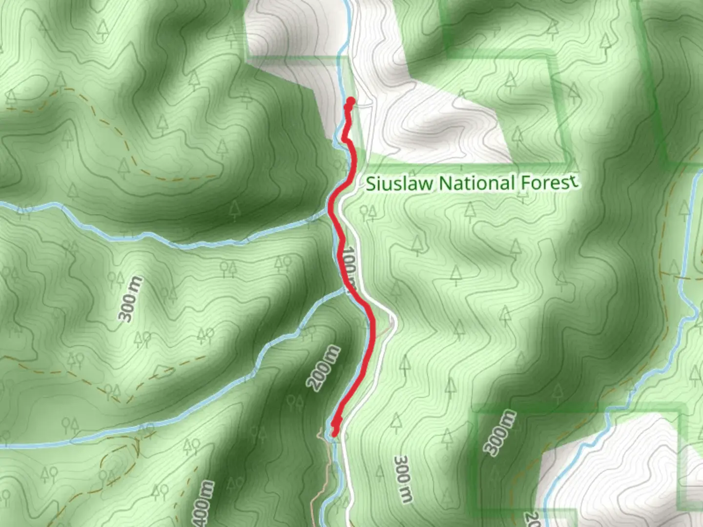 An image depicting the trail Sweet Creek Falls Trail and its surrounding area.