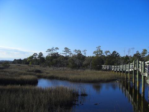 Cedarpoint Tideland Inner Loop Trail