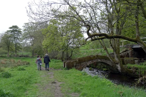 An image depicting the trail Marsh Top and Haworth Loop and its surrounding area.