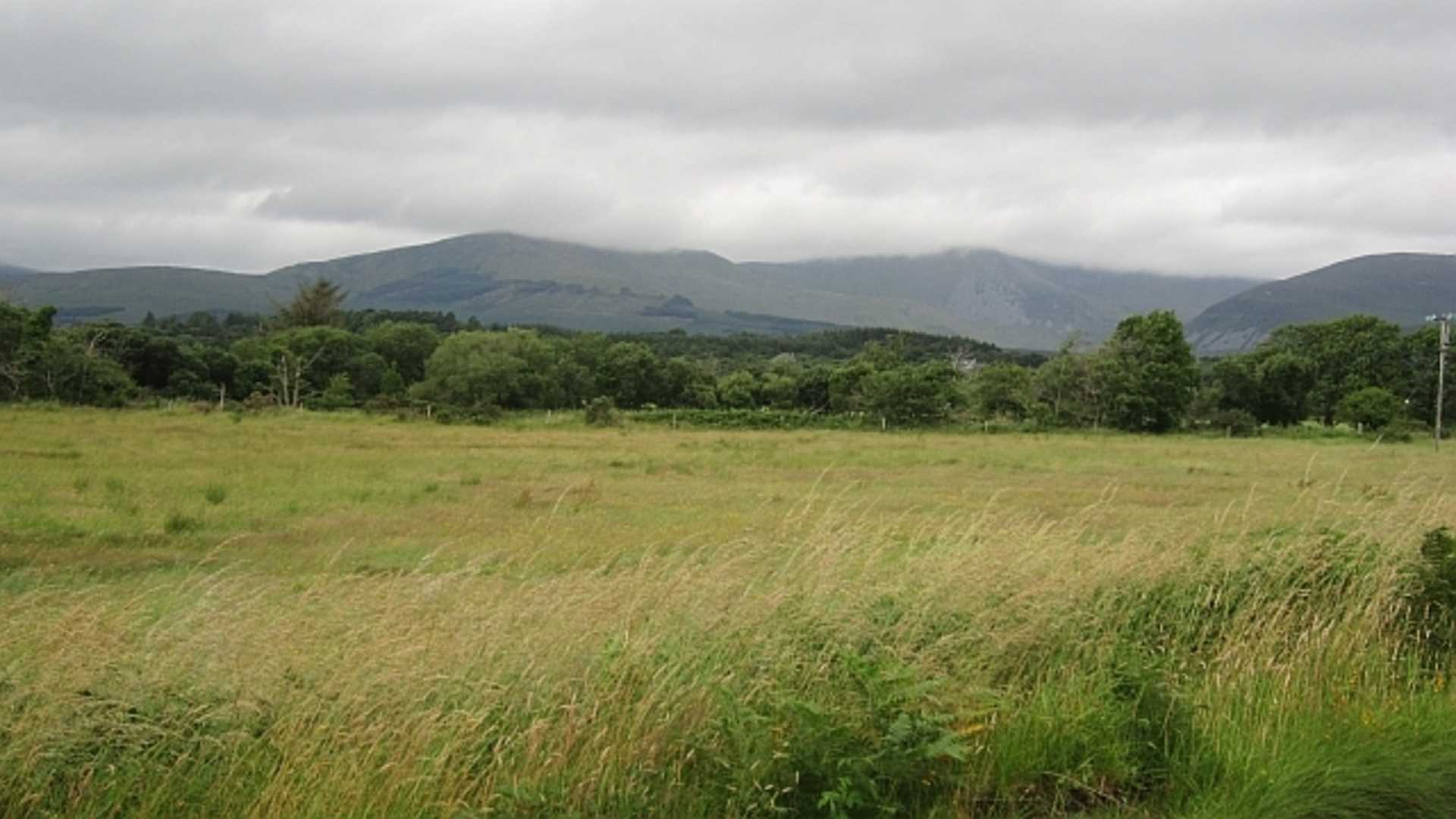 An image depicting the trail Birreencorragh Loop from The North and its surrounding area.