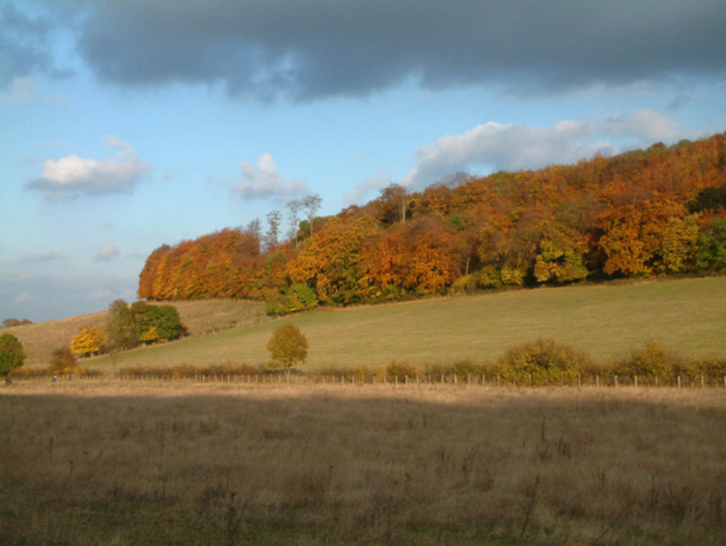 An image depicting the trail Shoreham Country Park Loop and its surrounding area.