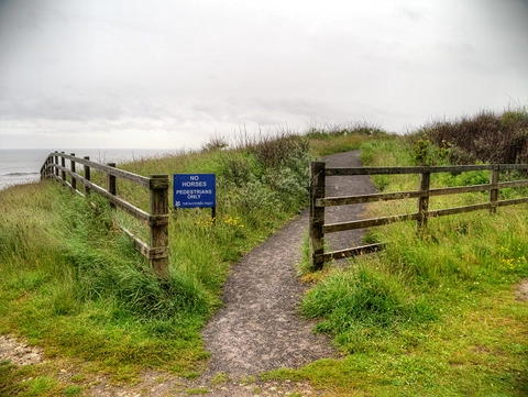 Souter Lighthouse and Whitburn Coastal Park Loop
