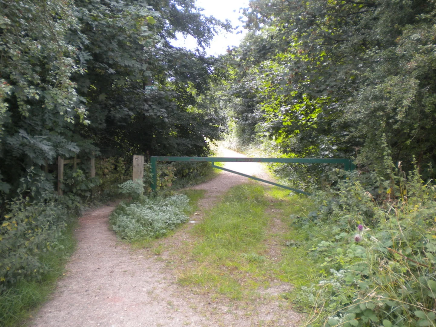 An image depicting the trail Cotgrave Forest Loop and its surrounding area.