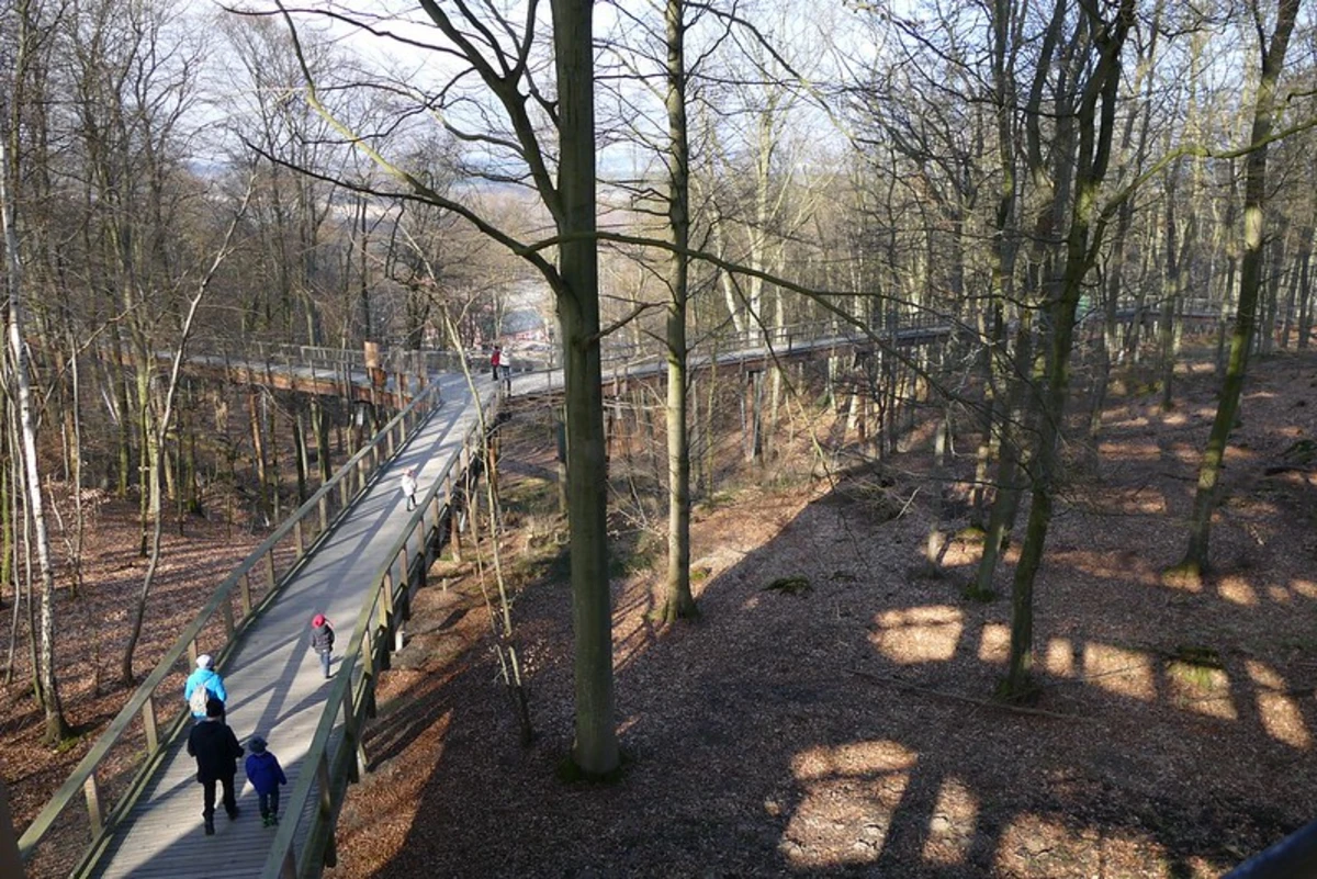 Nationalparkzentrum Lusen Tier-Freigelände Loop via Baumwipfelpfad