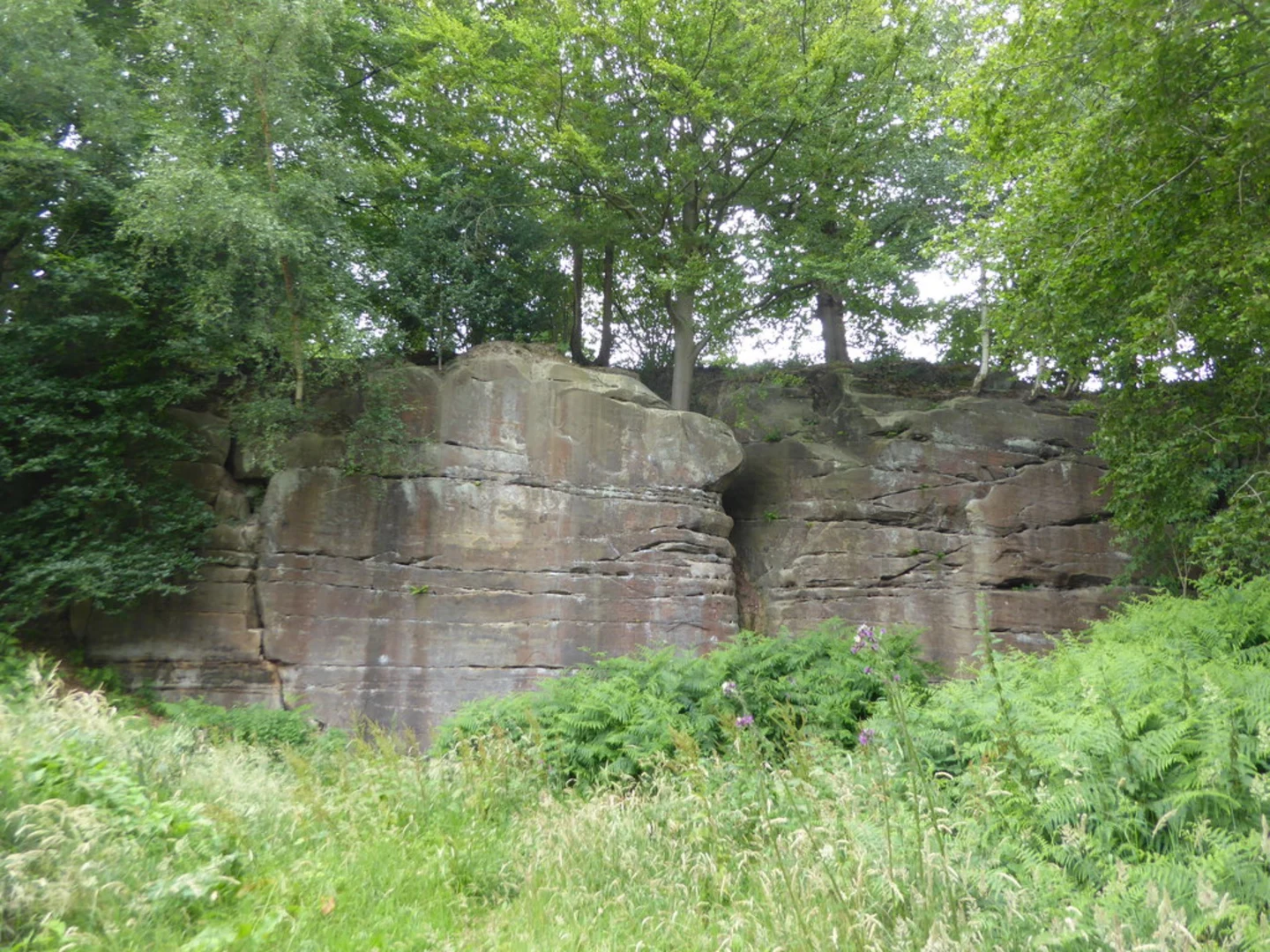 An image depicting the trail Birchcope Shaw and Trugger's Gill and its surrounding area.