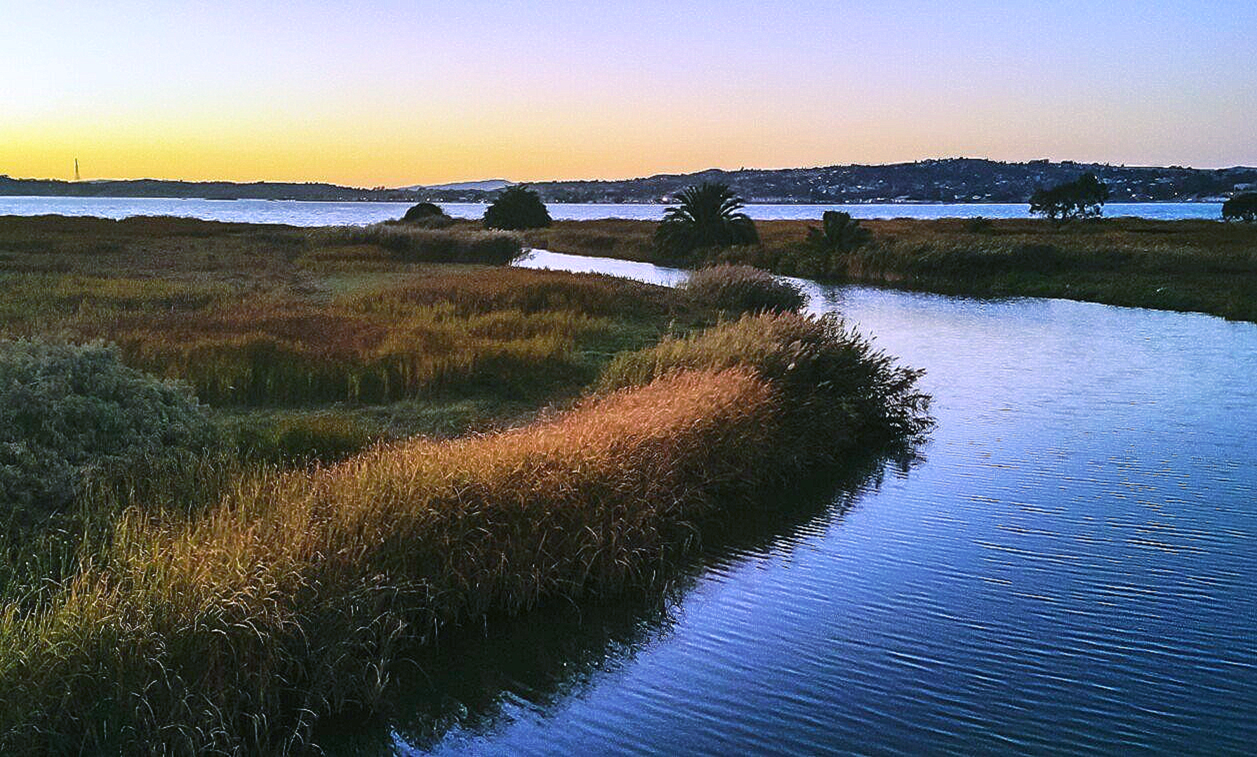 An image depicting the trail Saint Catherine of Siena Catholic Cametery Walk and its surrounding area.