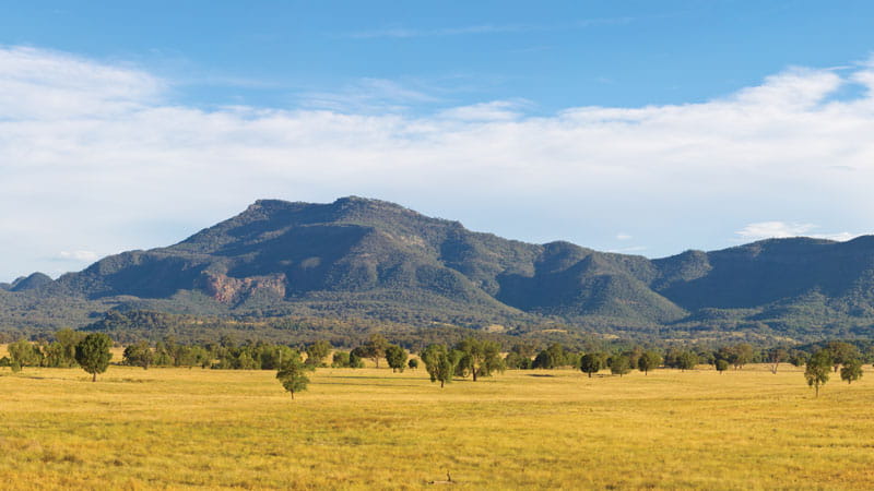 An image depicting the trail Warrumbungle National Park and its surrounding area.