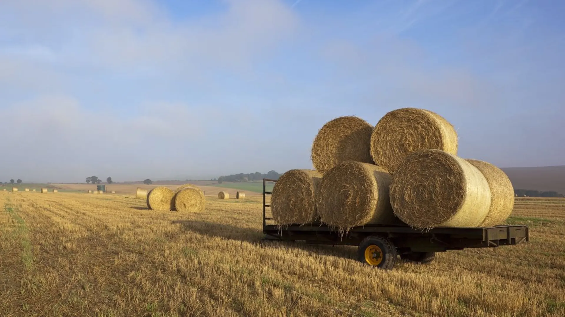 An image depicting the trail Yorkshire Wolds Way and its surrounding area.